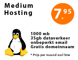 Bestel Medium Hosting